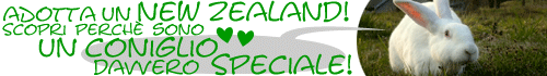 Adotta un New Zealand!